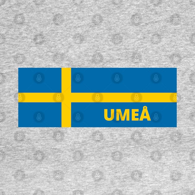 Umeå City in Swedish Flag by aybe7elf
